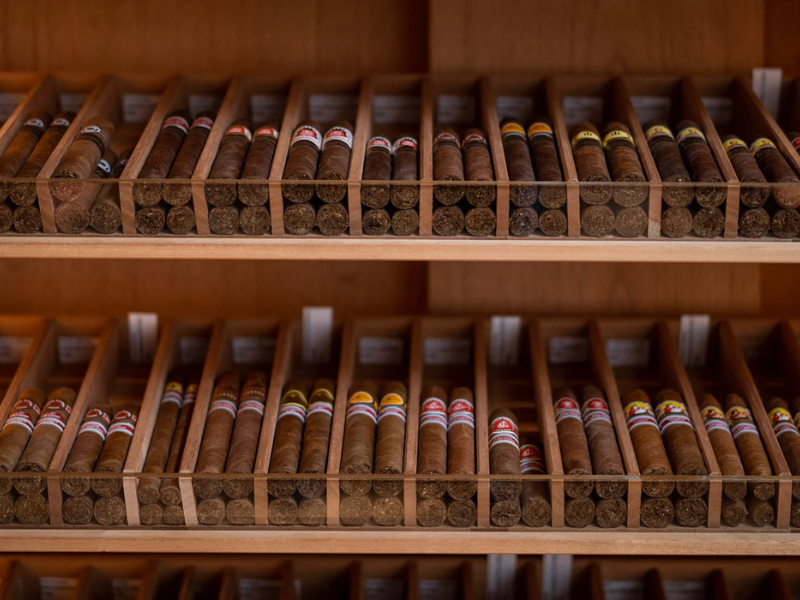 Bảo quản xì gà tốt để tránh bị ẩm mốc